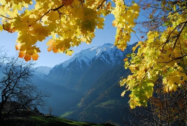 Farbenreiche Herbstwanderungen im Passeiertal